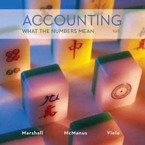 Accounting What the Numbers Mean 10th Edition