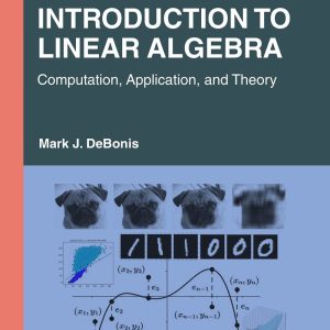 Introduction To Linear Algebra Computation, Application, and Theory 1e 1st Edition