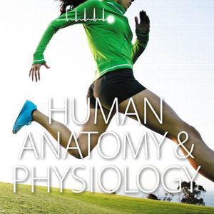 Human Anatomy & Physiology-Erin C. Amerman