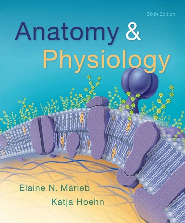 Anatomy & Physiology Sixth 6th Edition by Elaine N. Marieb