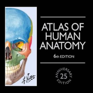 Atlas of Human Anatomy Sixth 6th Edition 25 Anniversary by Frank H. Netter