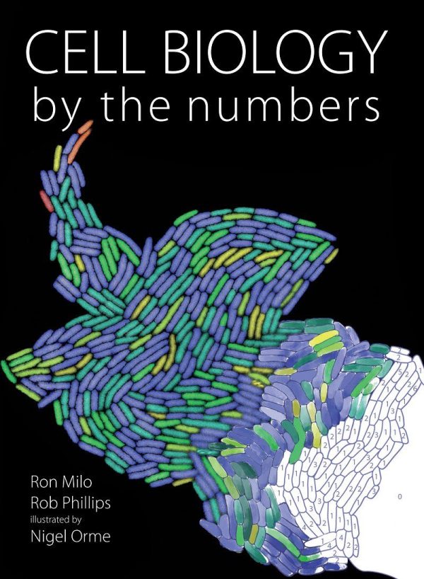 Cell Biology by the Numbers by Ron Milo