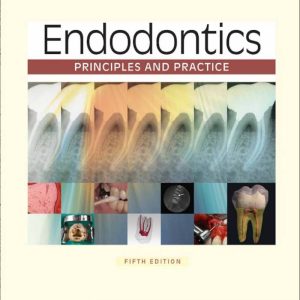 Endodontics Principles and Practice 5th Edition by Mahmoud Torabinejad