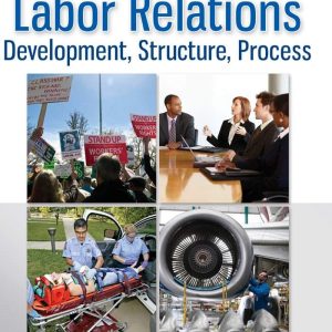 Labor Relations  Development Structure Process 12th Edition