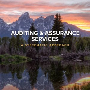 Auditing & Assurance Services A Systematic Approach 11e 11th Edition
