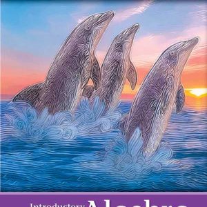 Introductory Algebra (Mathematics) 3rd Edition by Julie Miller